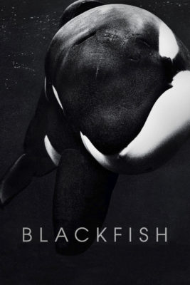 Poster for the movie "Blackfish"