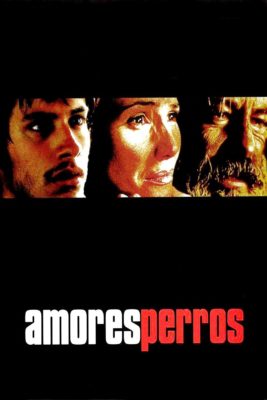 Poster for the movie "Amores perros"