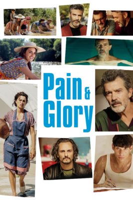 Poster for the movie "Pain and Glory"